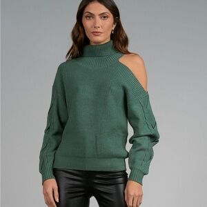 Elan Women's Green Turtleneck Sweater